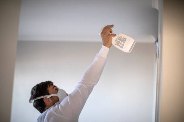 Best HVAC Mold Remediation in Pine Valley, CA